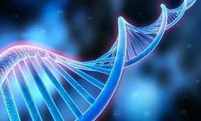 1602564977171317.jpeg f8e309da-2f02-eb11-8da9-e4434bdf6706.jpeg